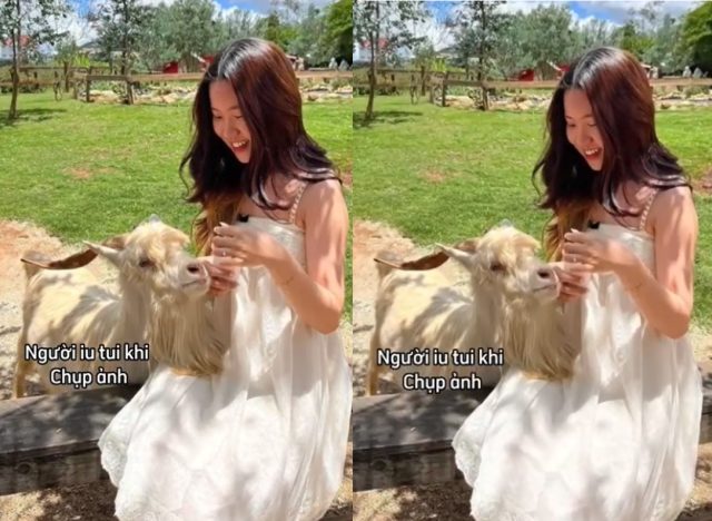 Sex tiểu thư nhà giàu mê anh cu to