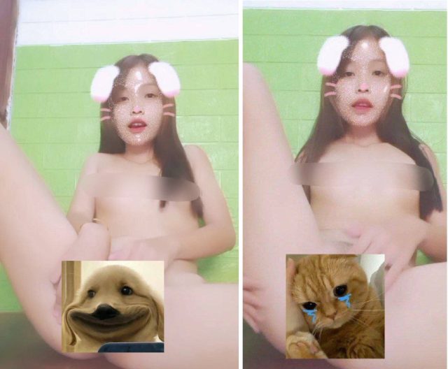 Tik toker còn được gọi là thỏ bướm nhiều nước đụ rất vui